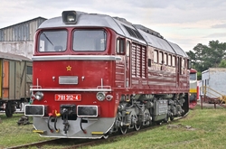 781.312-4  Sergej