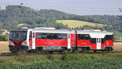 813 117-3  Bageta