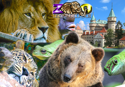 Bojnice ZOO 