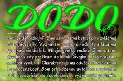 Dodo