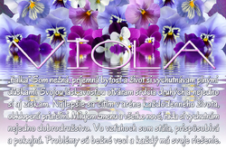 Viola