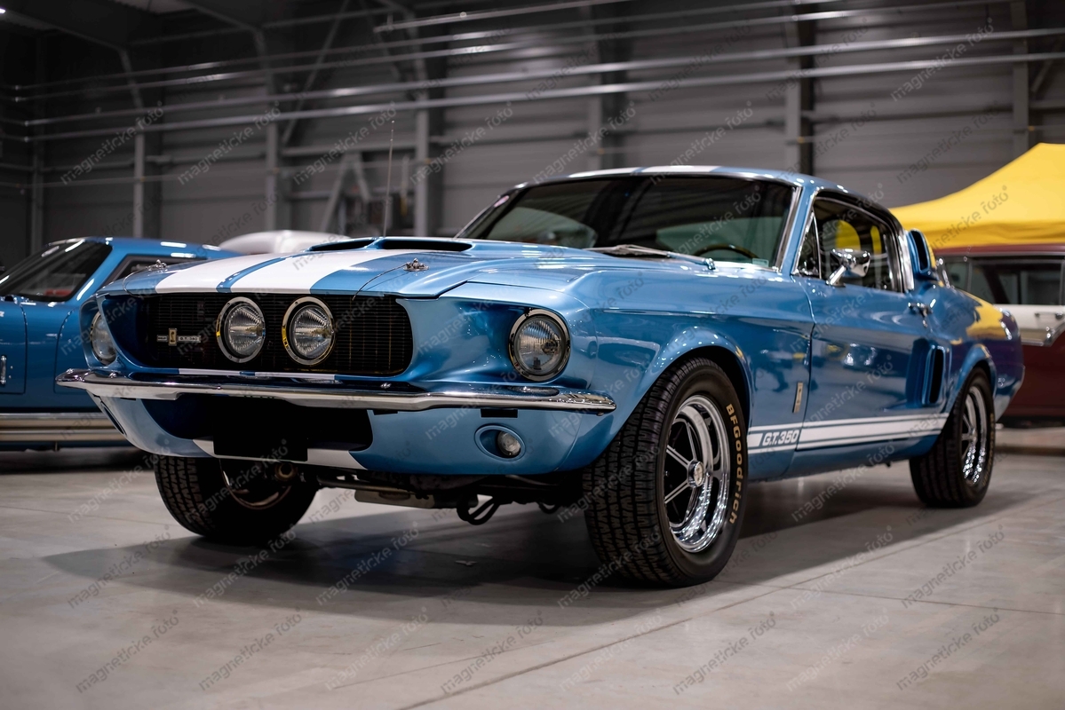 Ford Shelby GT350